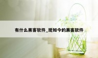 有什么黑客软件_现如今的黑客软件