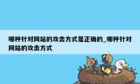 哪种针对网站的攻击方式是正确的_哪种针对网站的攻击方式