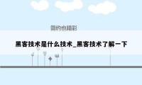 黑客技术是什么技术_黑客技术了解一下