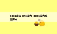 ddos攻击 dns放大_ddos放大攻击脚本