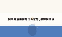 网络用语黑客是什么意思_黑客网络语