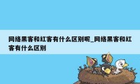 网络黑客和红客有什么区别呢_网络黑客和红客有什么区别