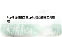 tcp端口扫描工具_php端口扫描工具原理