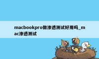 macbookpro做渗透测试好用吗_mac渗透测试