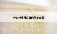 什么叫暗网公链的简单介绍