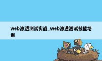 web渗透测试实战_web渗透测试技能培训