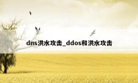 dns洪水攻击_ddos和洪水攻击