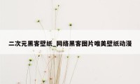 二次元黑客壁纸_网络黑客图片唯美壁纸动漫