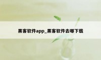 黑客软件app_黑客软件去哪下载