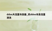 ddos大流量攻击器_抗ddos攻击流量清洗