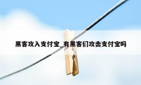 黑客攻入支付宝_有黑客们攻击支付宝吗