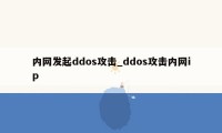 内网发起ddos攻击_ddos攻击内网ip