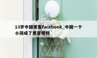 13岁中国黑客facebook_中国一个小孩成了黑客视频