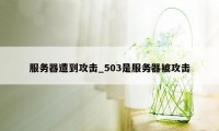 服务器遭到攻击_503是服务器被攻击