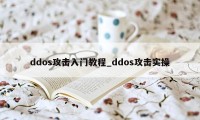 ddos攻击入门教程_ddos攻击实操