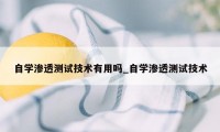 自学渗透测试技术有用吗_自学渗透测试技术