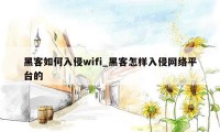 黑客如何入侵wifi_黑客怎样入侵网络平台的