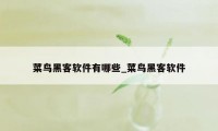 菜鸟黑客软件有哪些_菜鸟黑客软件