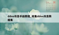 ddos攻击手段教程_收集ddos攻击数据集