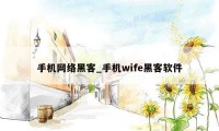 手机网络黑客_手机wife黑客软件