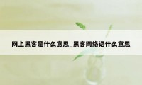 网上黑客是什么意思_黑客网络语什么意思