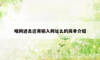 暗网进去还用输入网址么的简单介绍