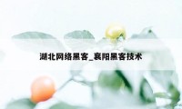 湖北网络黑客_襄阳黑客技术