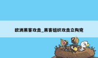 欧洲黑客攻击_黑客组织攻击立陶宛