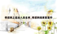 孝感网上追逃人员名单_孝感网络黑客案件