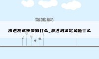 渗透测试主要做什么_渗透测试定义是什么