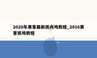 2020年黑客最新抓肉鸡教程_2016黑客抓鸡教程