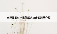 亲印黑客对中巴发起大攻击的简单介绍