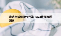 渗透测试和java开发_java转行渗透测试