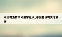 中国有没有天才黑客组织_中国有没有天才黑客