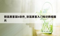 假装黑客装b软件_软装黑客入门知识教程图片