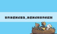 软件渗透测试报告_渗透测试和软件的区别