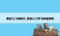 黑客入门级教学_黑客入门学习教程视频