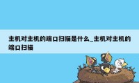 主机对主机的端口扫描是什么_主机对主机的端口扫描