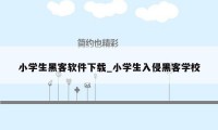 小学生黑客软件下载_小学生入侵黑客学校